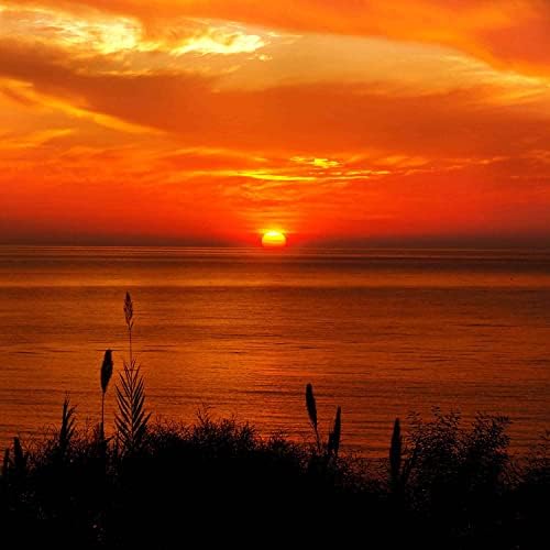 落日餘暉 落日余晖- song and lyrics by PIggy | Spotify